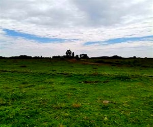 Agricola Rinconada de huechun Melipilla