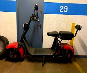 Scooter eléctrica Citycoco 