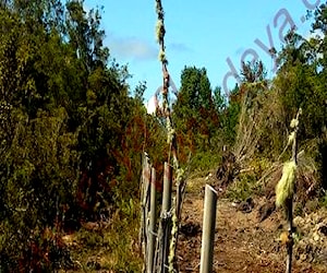 Terreno de 1,7 has en Coihuin Alto