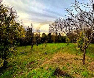 TERRENO EN VENTA EN BUIN.