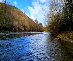 PARCELAS A 8 KM DE COYHAIQUE Coihaique