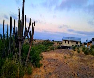 Terreno en litueche 5000 mts2