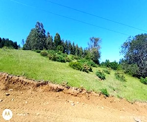 Parcela de media hectárea, con luz y agua