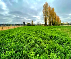 Campo 6.000 m2 con derechos de agua para riego