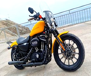 Harley-Davidson Iron Xl 883