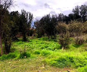 Terreno en Hacienda el Belloto