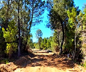 SITIO con agua potable y embalse privado - &#8230;