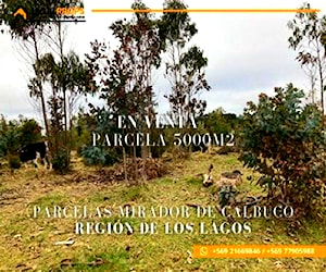 SITIO hijuelas - Los Lagos Calbuco