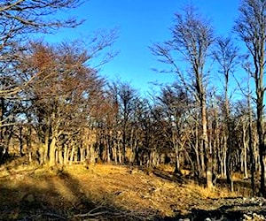 Terreno Río de los Ciervos