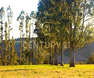 PARCELA Refugio del LLanquihue Puerto Varas