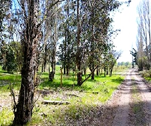 Agro Parcelas Hacienda del Itata Bulnes Quillon