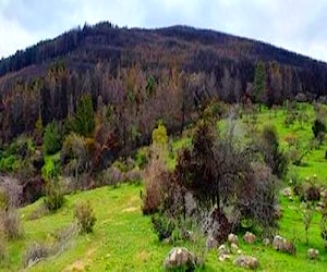 Terreno en la comuna de Ninhue