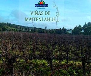 Parcelacion viñas de Maitenlahue