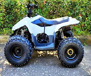 Atv 125 cc Cuatrimoto Raptor Aro7 Mini DCR777