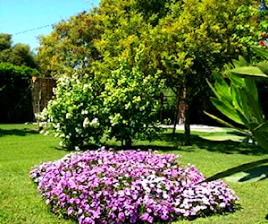 Parcela CONDOMINIO STA TERESA DE LONQUÉN ISLA DE