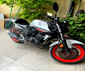 Yamaha MT 03 2019