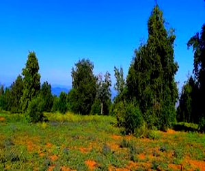 Parcela en Romeral, Curicó