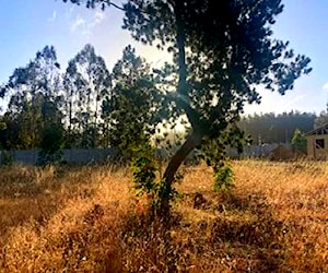 Terrenos en El Tabo