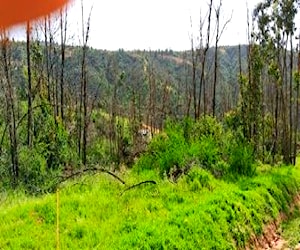 Terreno en belloto norte a 10 minutos del metro.