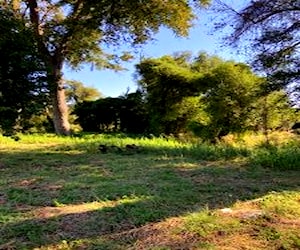 Hermoso campo entre Coihueco y Pinto Region Ñuble