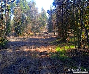 Terreno ubicado en algarrobo - loma verde