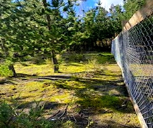 Terreno en yungay