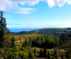 Preciosa Parcela De 1.8 Hás Con Vista Al Mar. Quin