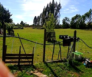 Terreno indígena en lautaro