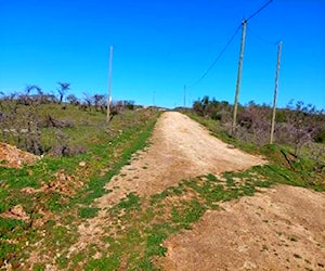 Terreno en Rapel 5.000m2