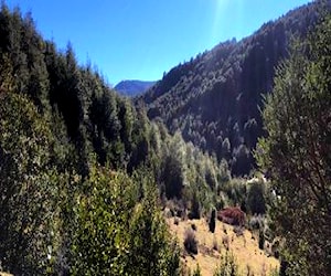 Terreno cercano a termas de 5 hectáreas