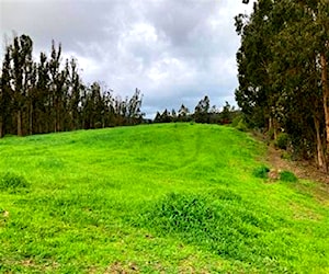 AGRICOLA Avda. Chile con Los Aromos San Antonio