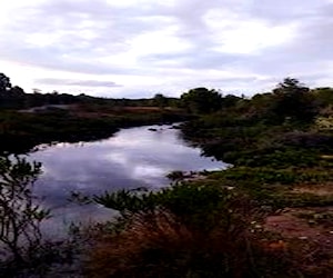 Vendo parcela a 10 km de Puerto Montt