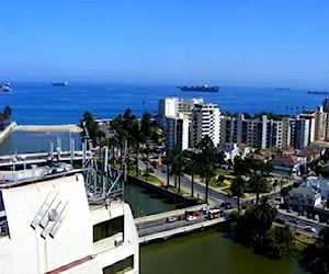 Acogedor dpto. en pleno centro de Viña del Mar