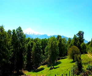 Parcela a 54 Km de Pucón