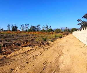 Parcela, Sector San Isidro, Quillota