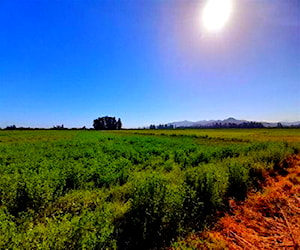 PARCELA DCV Camino Lonquén Sur con Camino Los Pe