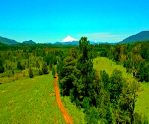 Parcelas a 21 kms de Villarrica