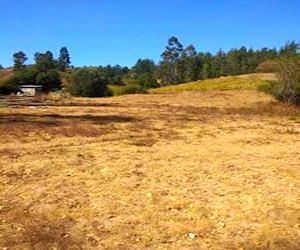 Campo en trehuaco