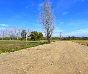 Parcelas 5000M2 camino a las Mariposas Chillán