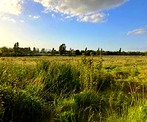 Hermosas parcelas Chillán Sector El Huape