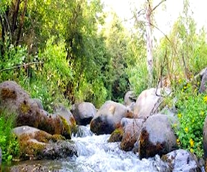 Parcelas a orillas de Río Pangue