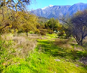 2 Parcelas planas, bosque de nativos Águila Sur