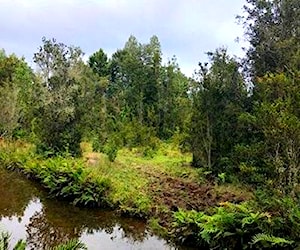 Parcela en venta en puerto varas &#8230;