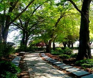 Cementerio Parque