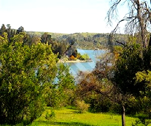 SITIO Lago Rapel Las Cabras 104377012