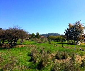 Terreno en San Pedro Melipilla