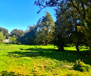 TERRENO DE 8.000 m2. URBANIZADO