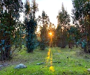 PARCELA Lote A 175 Hacienda Vichuquén Vichuquén