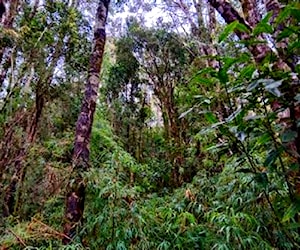 Puerto varas &#8230;