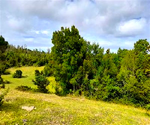 Parcela en venta en sector puerto godoy &#8230;